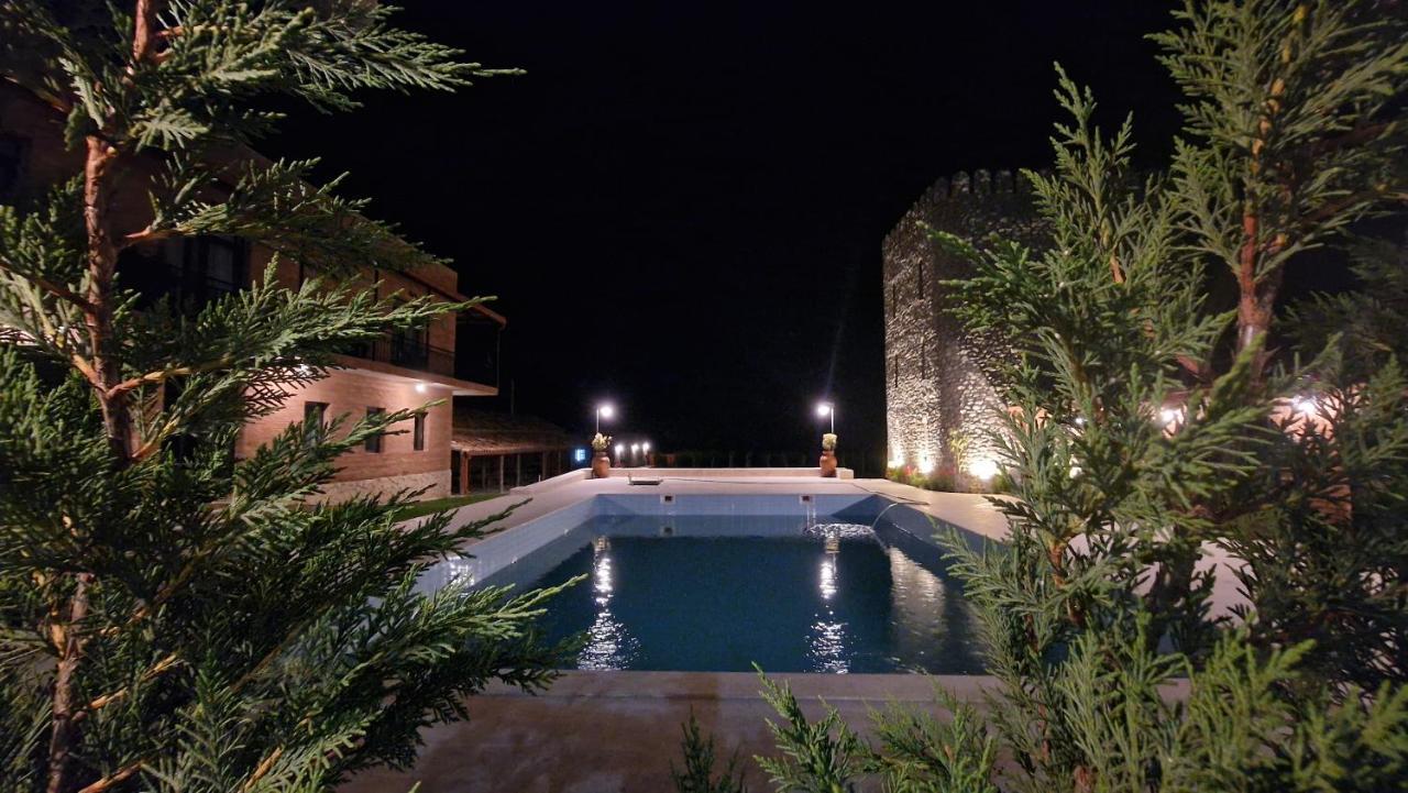 Giorgi Ushikishvilis Chateau-Marani Akhmeta Εξωτερικό φωτογραφία