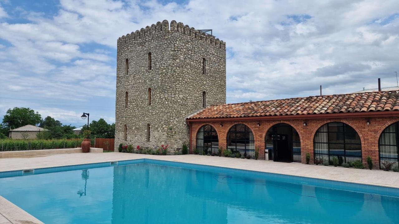 Giorgi Ushikishvilis Chateau-Marani Akhmeta Εξωτερικό φωτογραφία