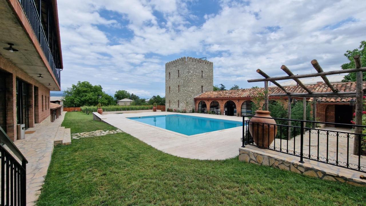Giorgi Ushikishvilis Chateau-Marani Akhmeta Εξωτερικό φωτογραφία