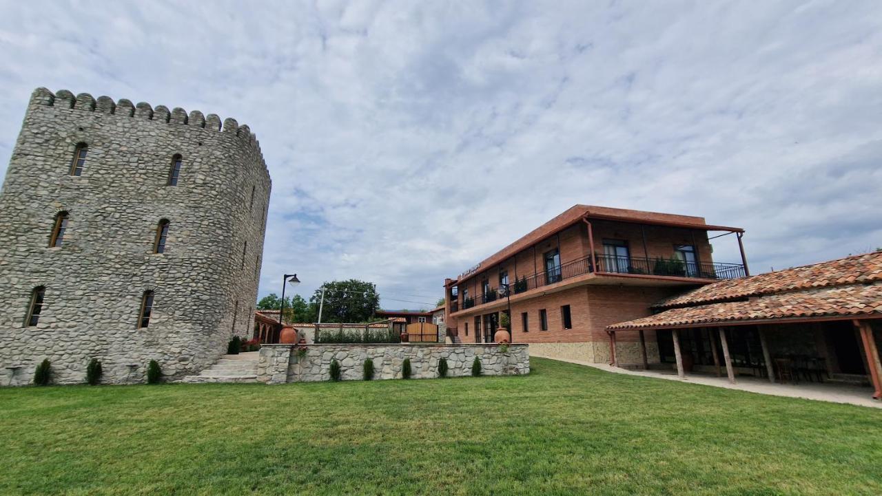 Giorgi Ushikishvilis Chateau-Marani Akhmeta Εξωτερικό φωτογραφία