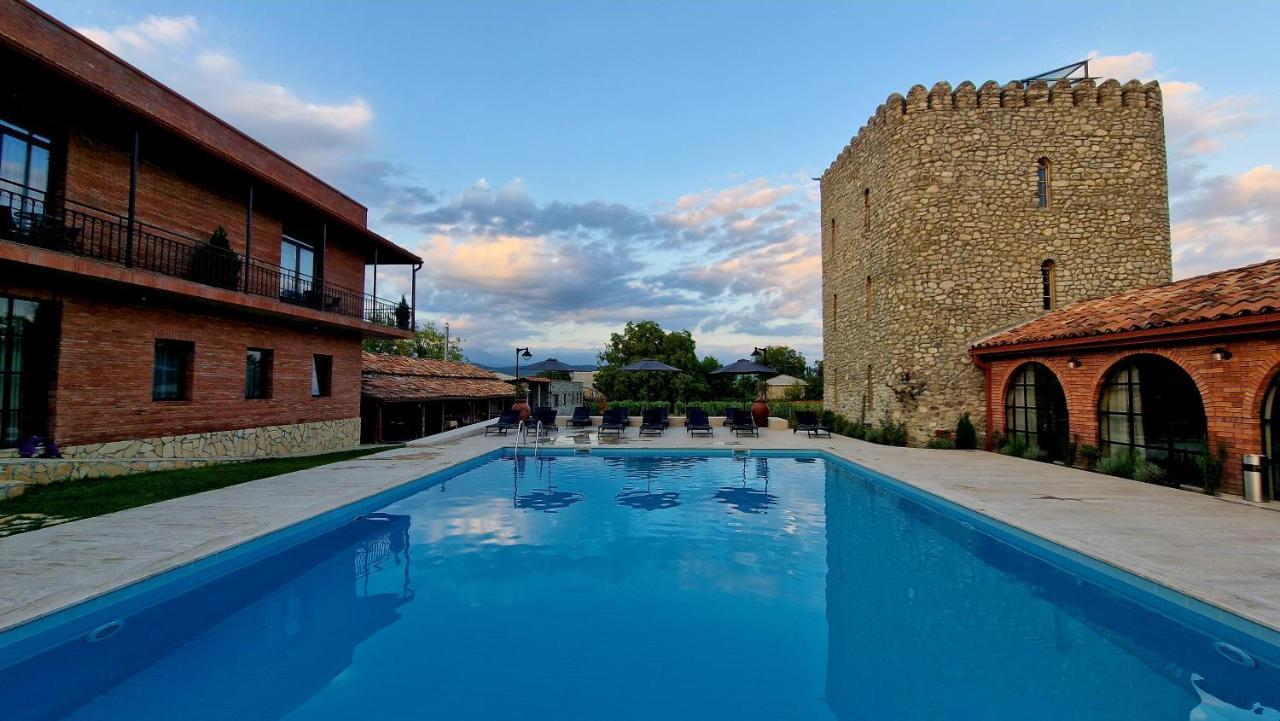 Giorgi Ushikishvilis Chateau-Marani Akhmeta Εξωτερικό φωτογραφία